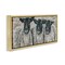 Stupell Industries Three Sheep Trio Portrait Framed Floater Canvas Wall Art
